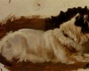 Study Of A Chow - 埃德温·亨利·兰德希尔爵士